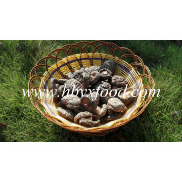 Good Quality Dried Smooth Surface Shiitake Mushroom